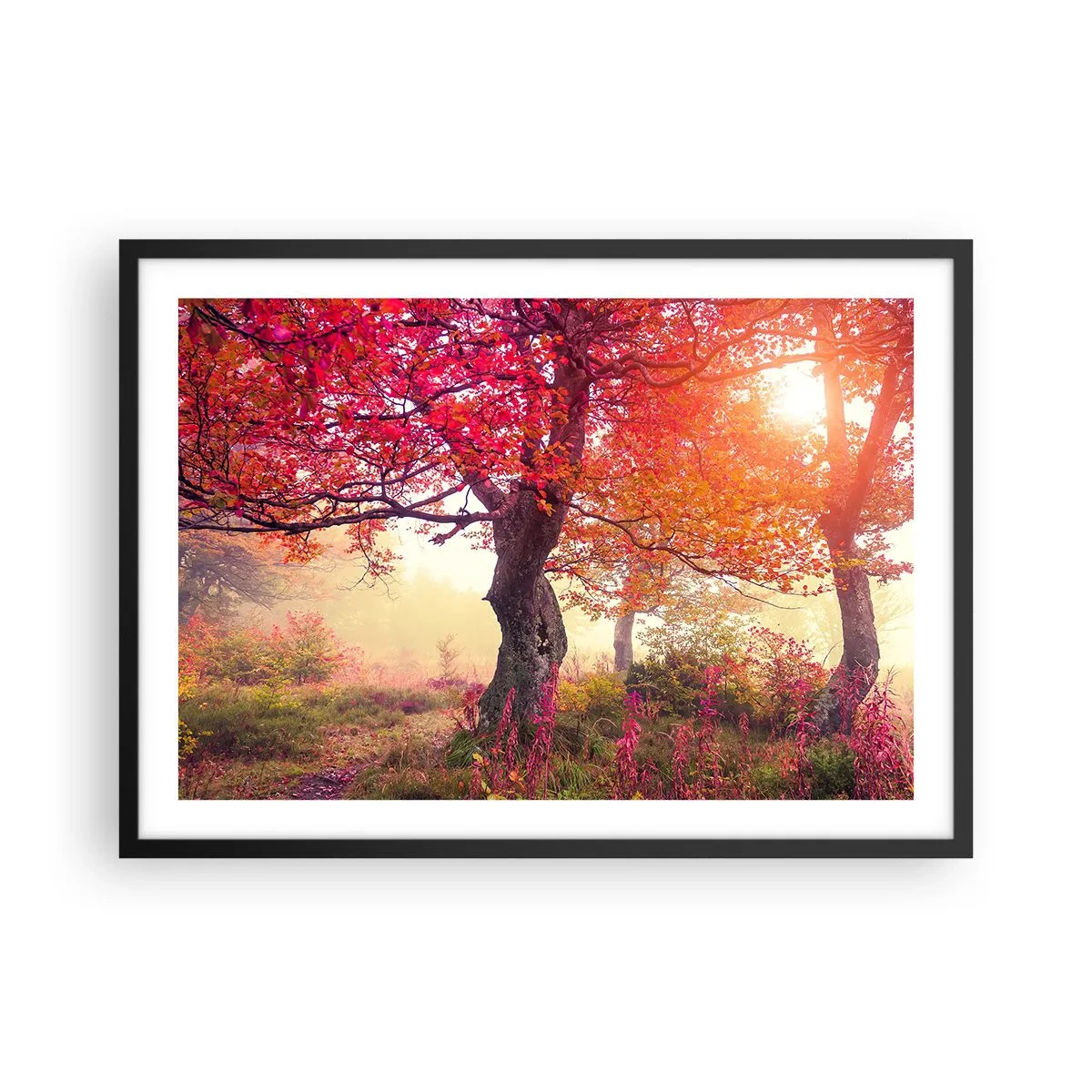 Plakat i sort ramme - Et væld af blomstring - 70x50 cm