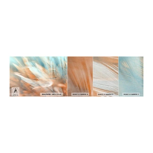 Prøve Fototapet Premium Canvas - I mildhedens land - Delikat, Fjer, Minimalisme - 100x30 cm