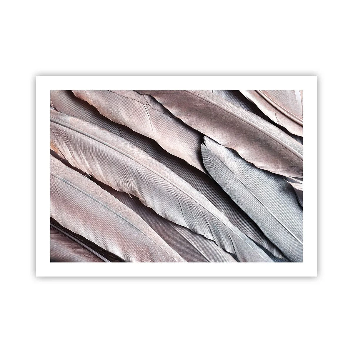 Plakat - I lyserødt sølv - 70x50 cm