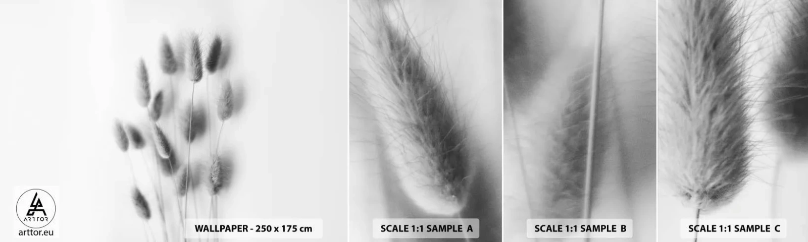 Fototapet Prøve Standard Eco - Dens bløde græs - Græs, Sort og hvid, Blomster - 100x30 cm