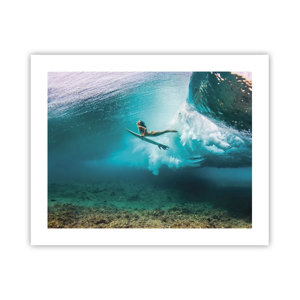 Plakat - Undervandsverden - 50x40 cm