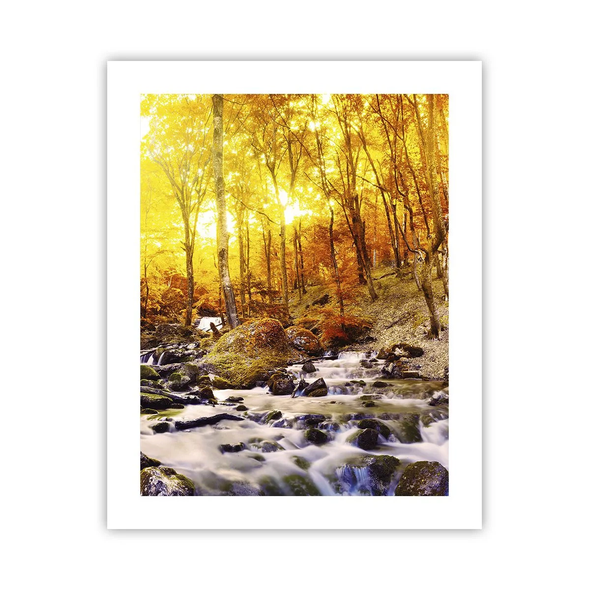 Plakat - Sten indfattet i guld og platin - 40x50 cm