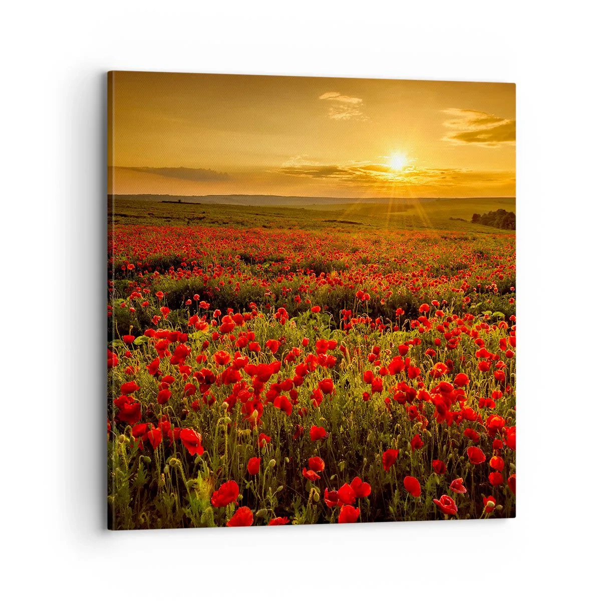Lærredstryk - Billede på lærred - Blandt bølgerne af raslende enge, blandt flodblomster - 70x70 cm