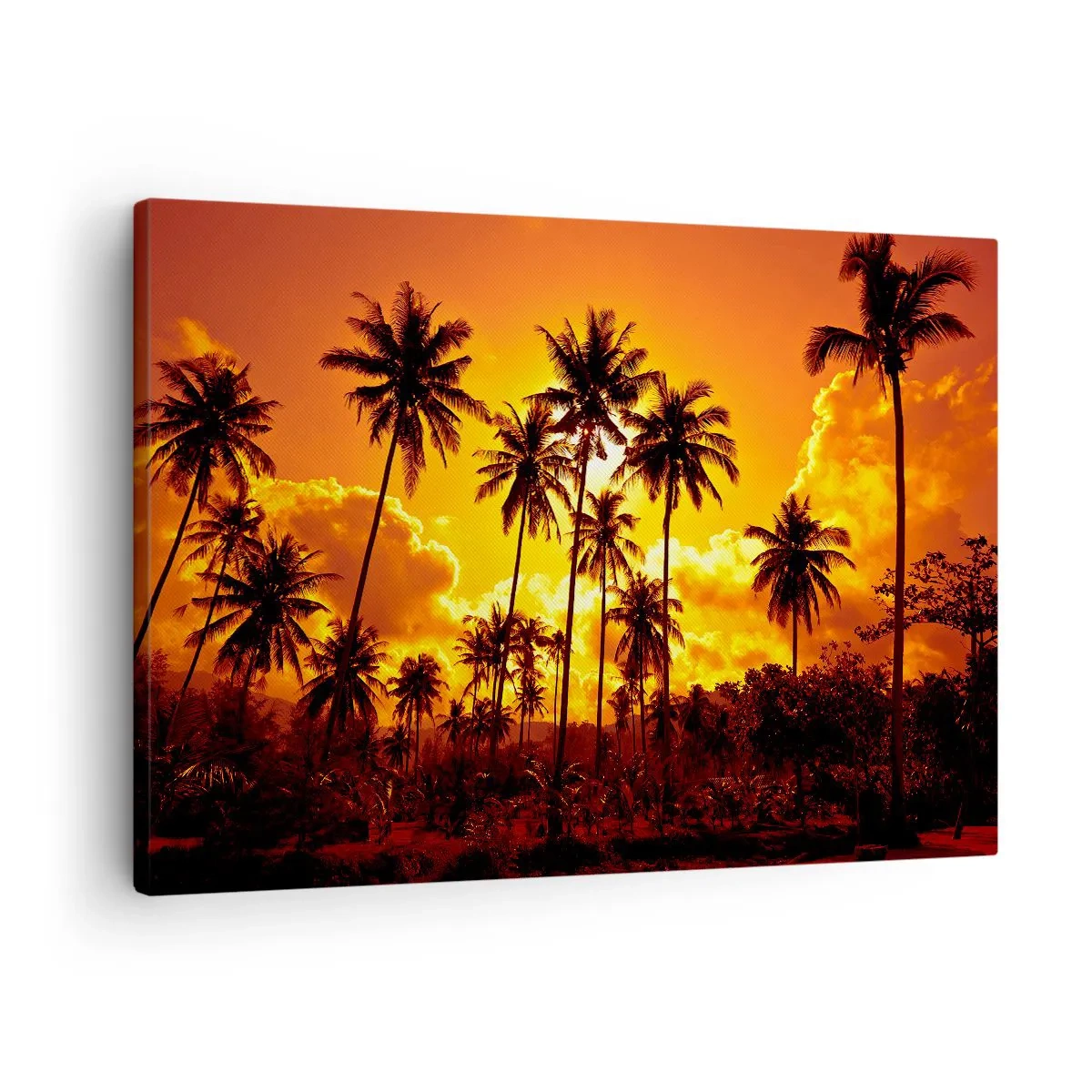 Lærredstryk - Billede på lærred - Palmer mod en gylden himmel under en tropisk solnedgang - 70x50cm - Bjerge brænder, skove brænder - Moderne vægdekoration til stue og soveværelse ARTTOR