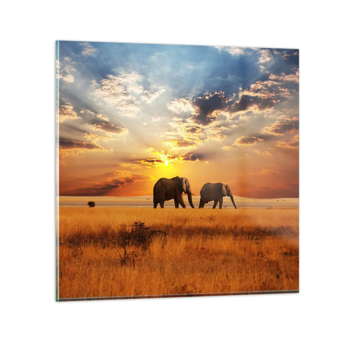 Billede på glas - Familievandring - 40x40 cm