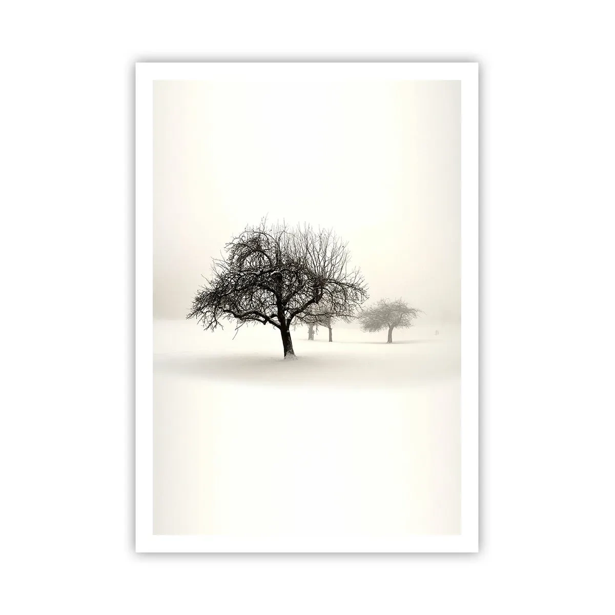 Plakat - Vintersøvn - 70x100 cm