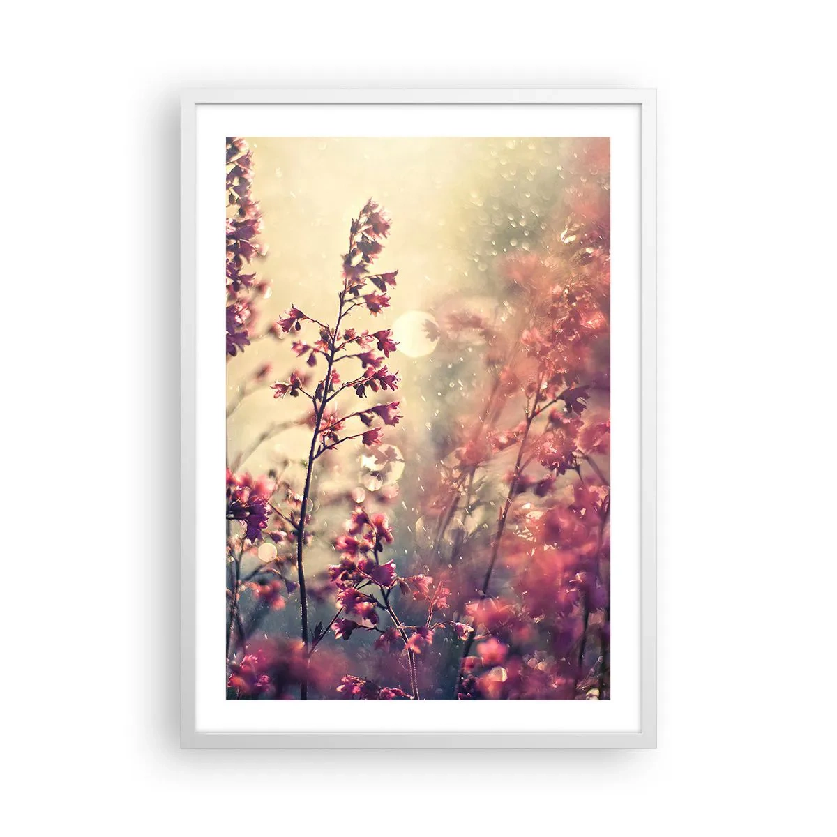 Plakat i hvid ramme - Hemmelig have - 50x70 cm