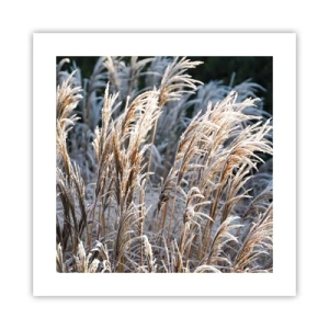 Plakat - Pyntet med frost - 40x40 cm