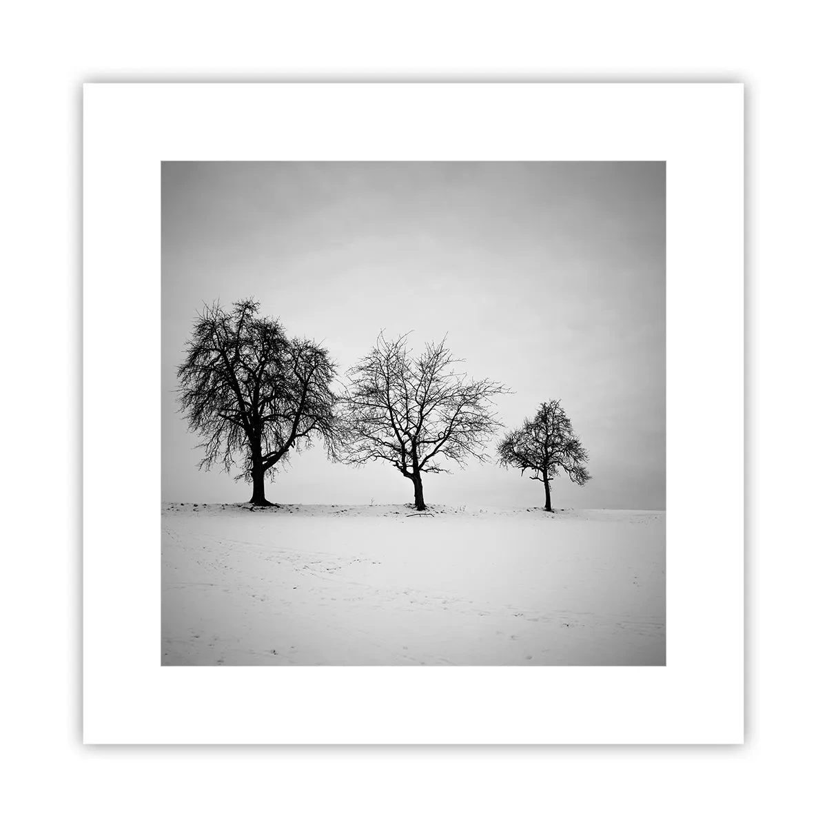 Plakat - Hvad drømmer de om? - 30x30 cm