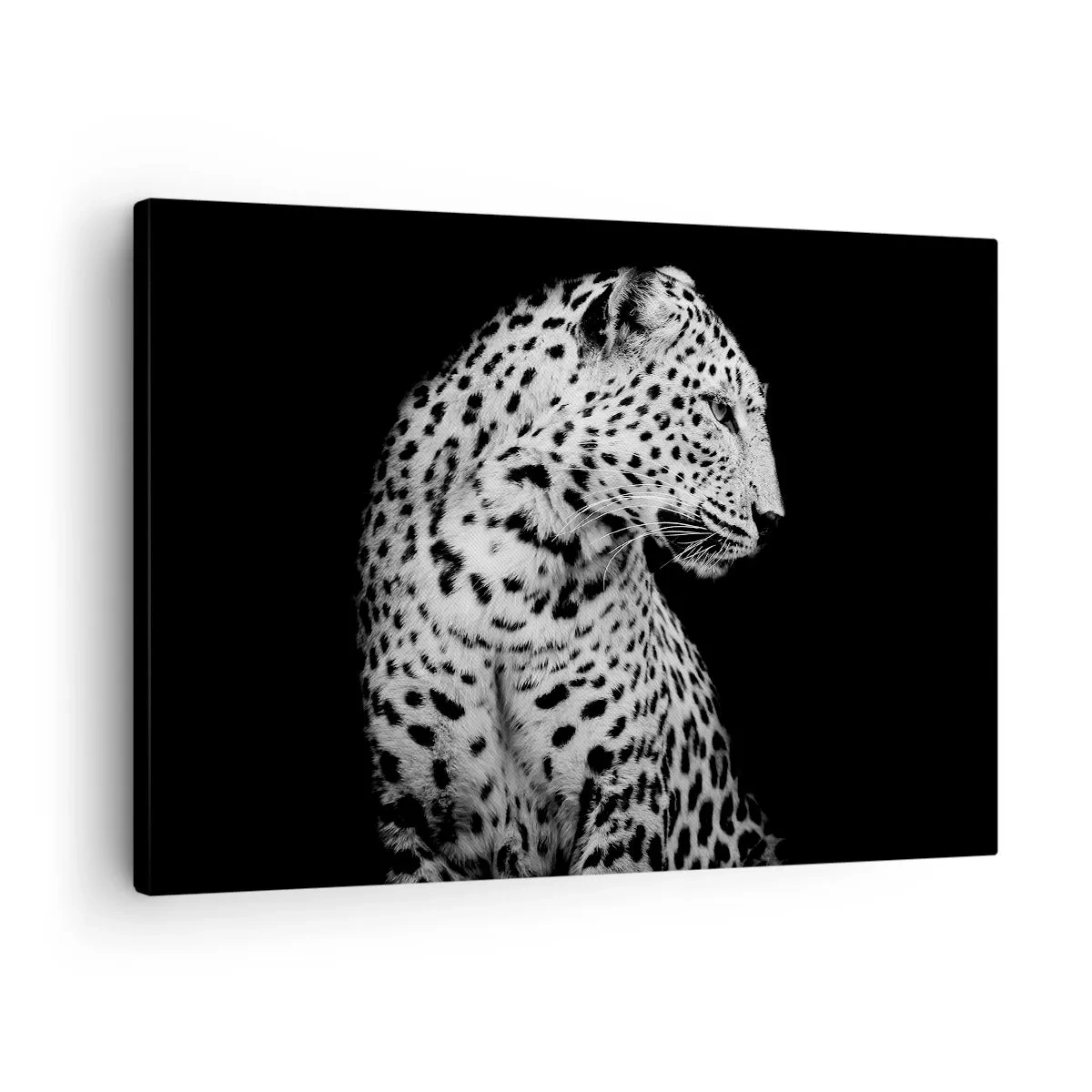 Lærredstryk - Billede på lærred - Den rigtige profil er perfekt! - 70x50 cm