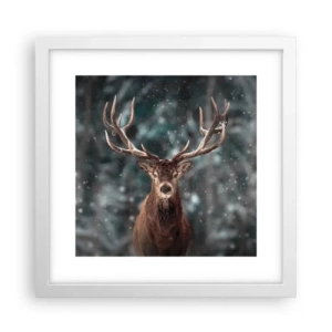 Plakat i hvid ramme - Skovens konge kronet - 30x30 cm