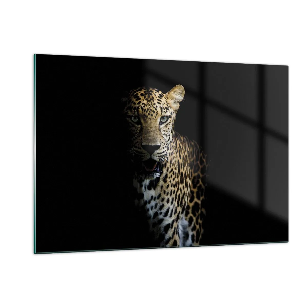 Billede på glas - Mørk skønhed - 120x80 cm