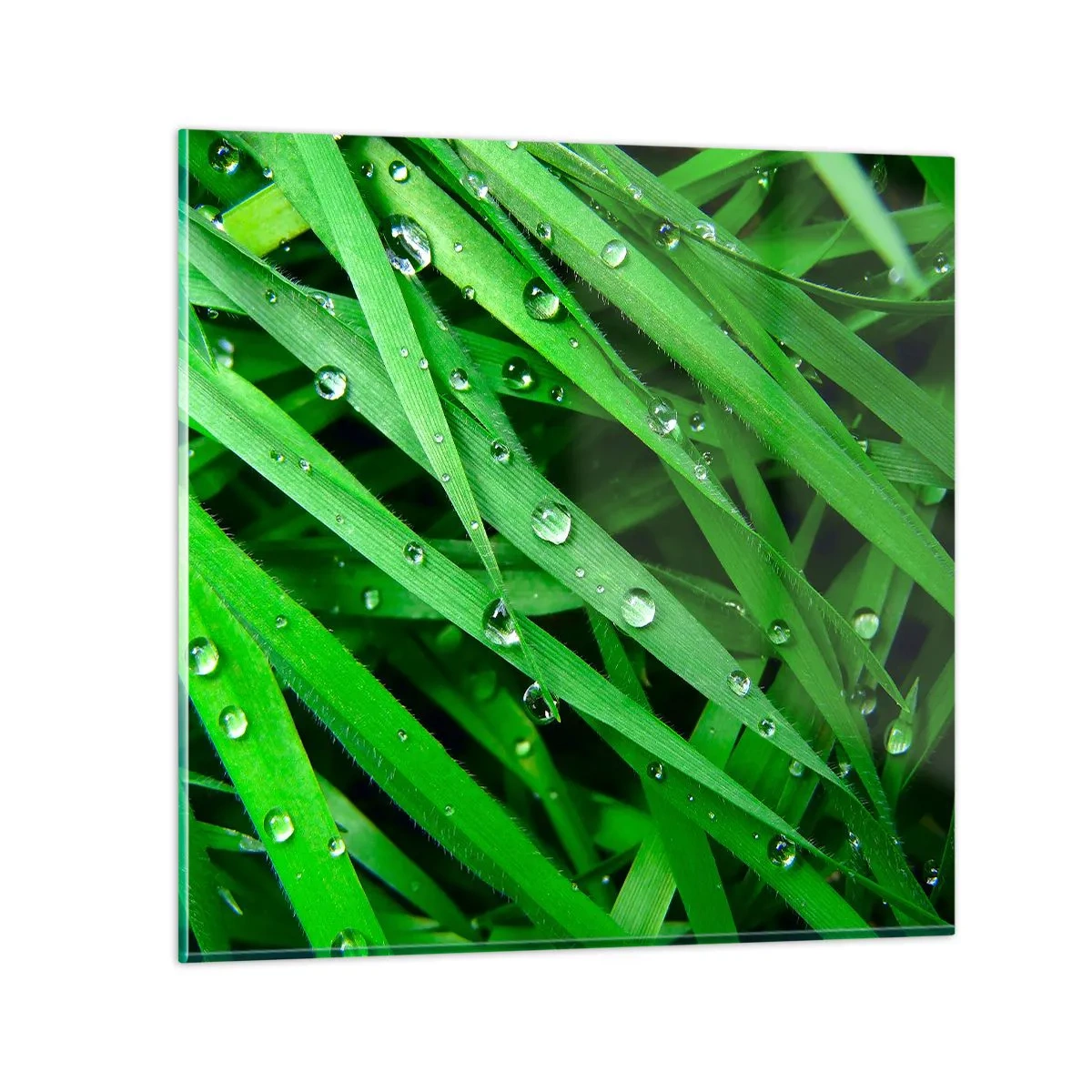 Billede på glas - Spil grønt - 40x40 cm