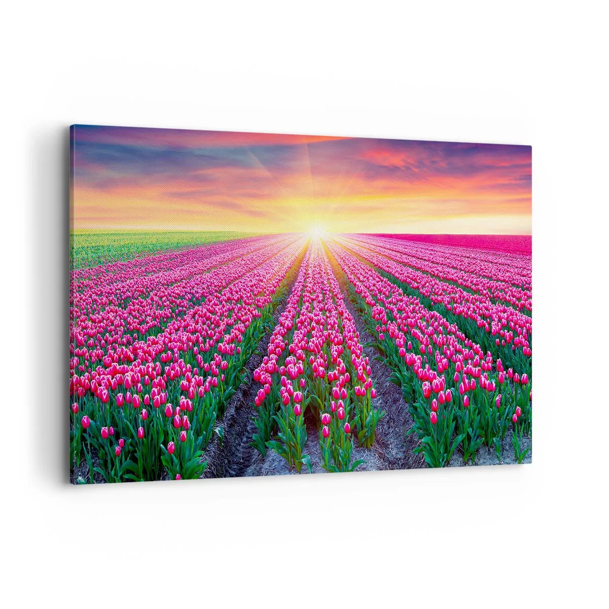 Lærredstryk - Billede på lærred - Skønhedsfarm - 100x70 cm
