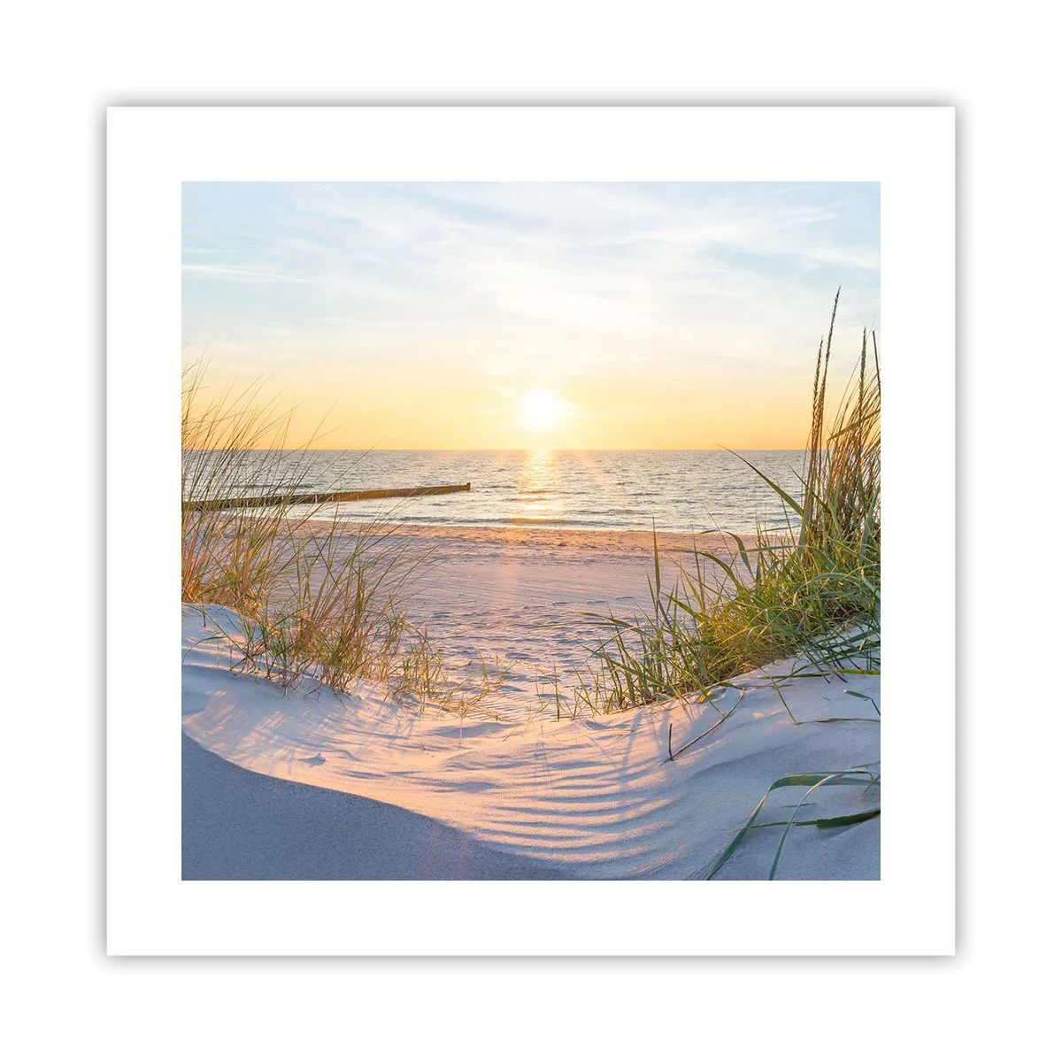 Plakat - Havet brummer, fuglene synger, en vild strand midt i græsset.... - 40x40 cm