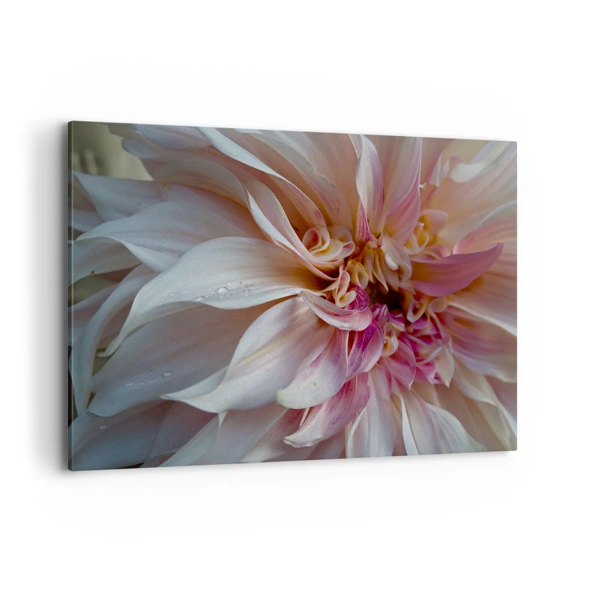 Lærredstryk - Billede på lærred - Blomstrende friskhed - 100x70 cm