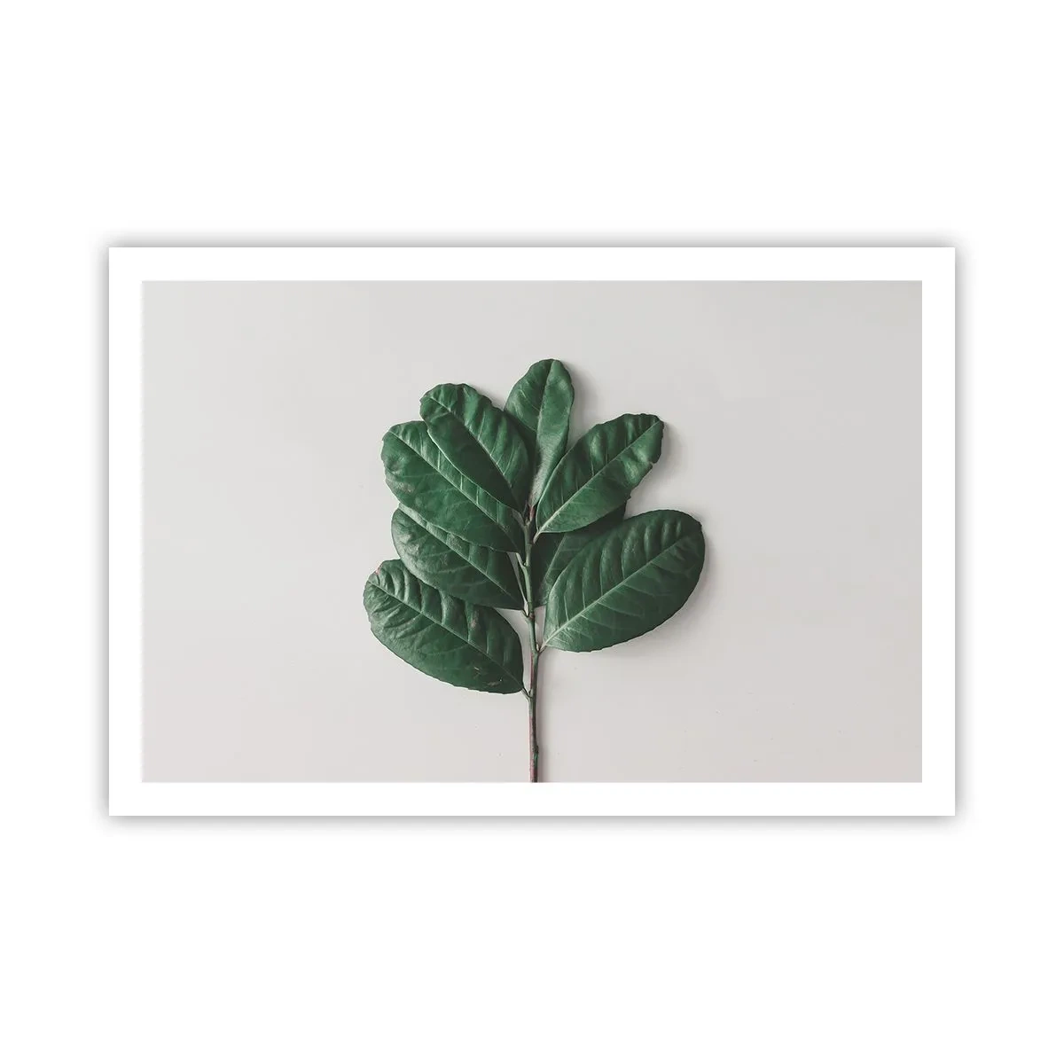 Plakat - Tegning af selve naturen - 91x61 cm