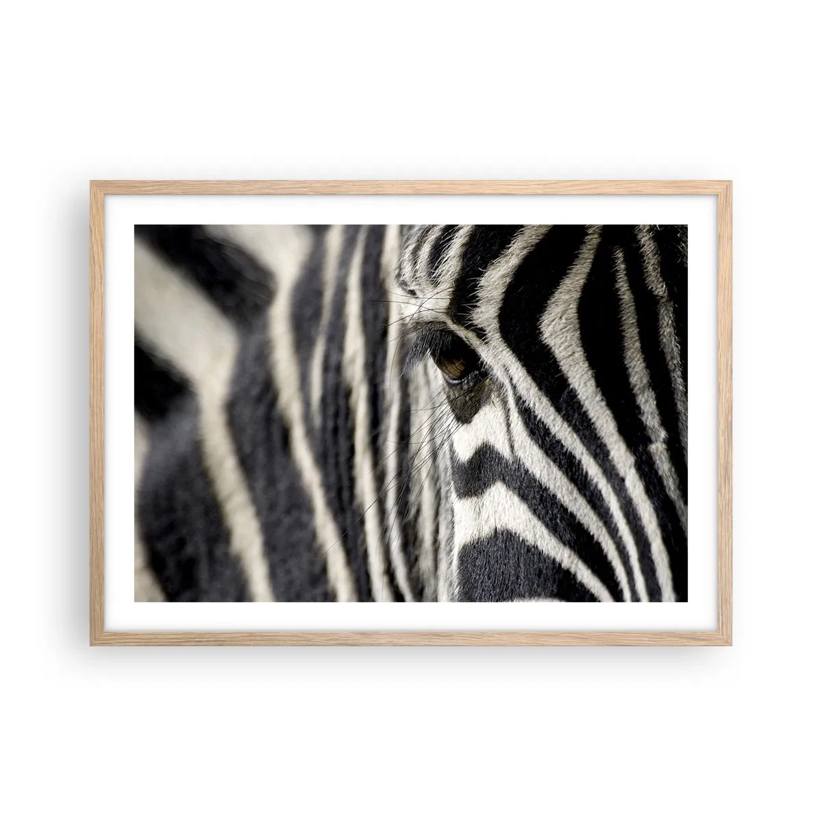 Plakat i ramme af lyst egetræ - Stribet portræt - 70x50 cm