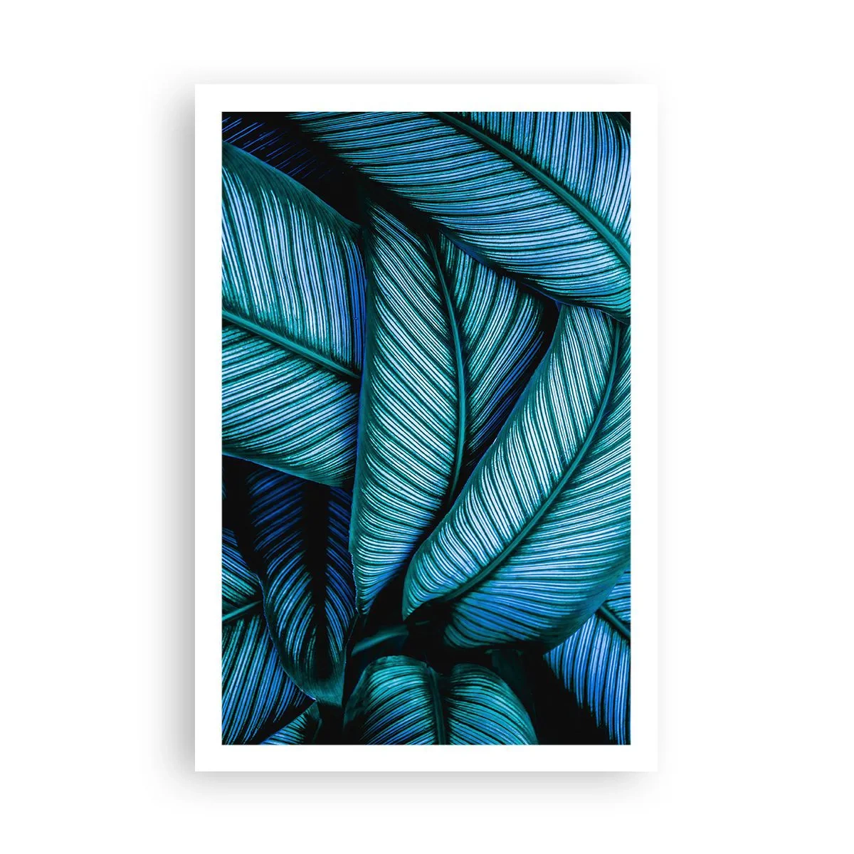 Plakat - Livslinjer - 61x91 cm