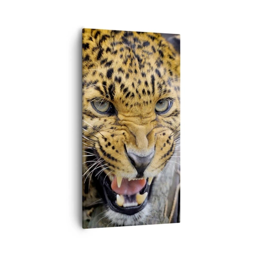 Lærredstryk - Billede på lærred - Kom ikke op, jeg advarer dig! - 55x100 cm