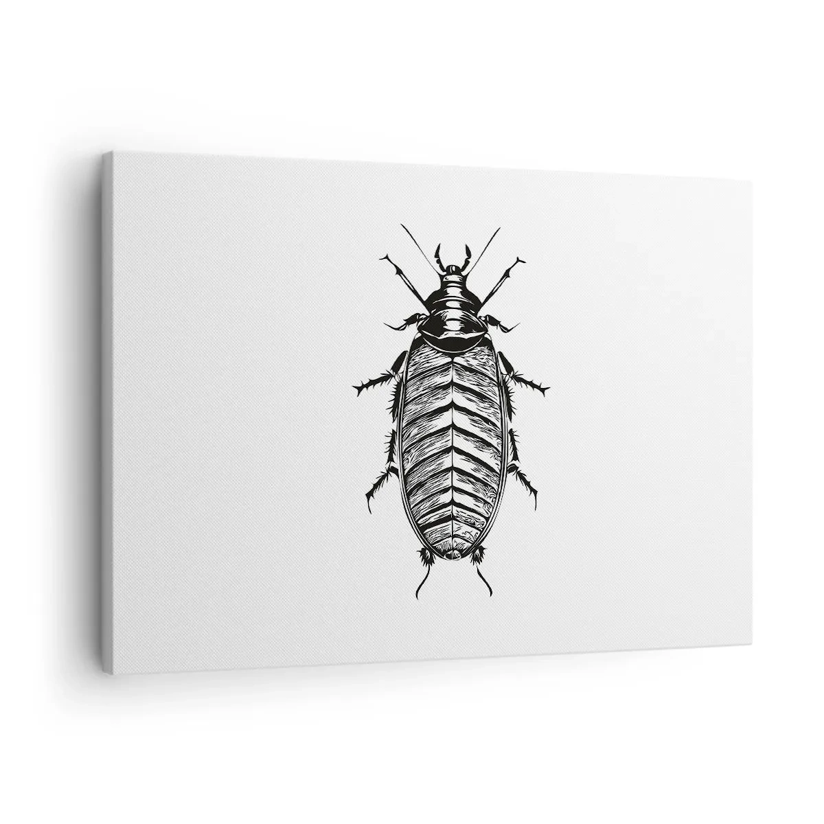 Lærredstryk - Billede på lærred - Grafik af et sort-hvidt insekt på en hvid baggrund - 70x50cm - Sikke et eksemplar! - Moderne vægdekoration til stue og soveværelse ARTTOR