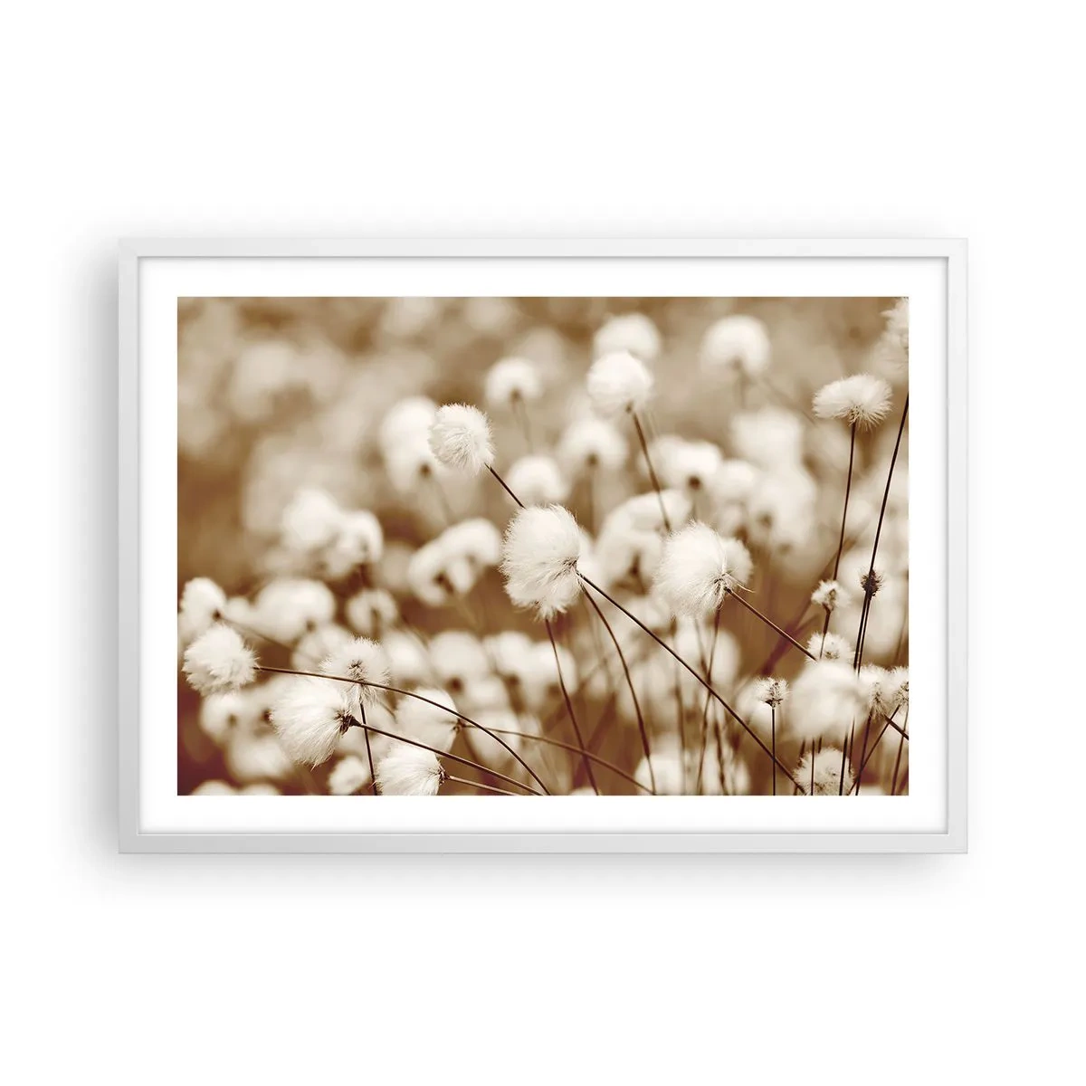 Plakat i hvid ramme - Fyldig mark - 70x50 cm