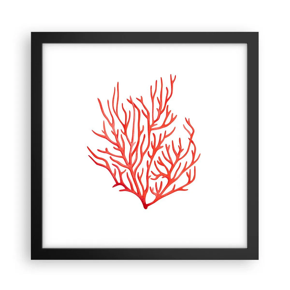 Plakat i sort ramme - Koral-filigran - 30x30 cm