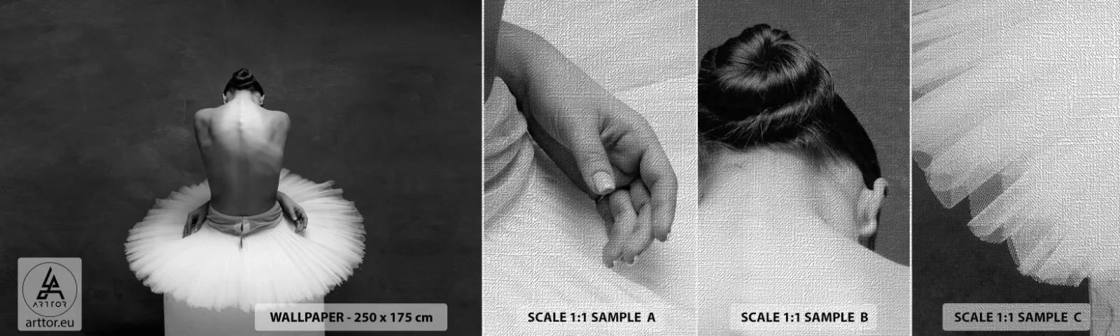 Prøve Fototapet Premium Canvas - Blomstrer nu - Ballerina, Dans, Ballet - 100x30 cm