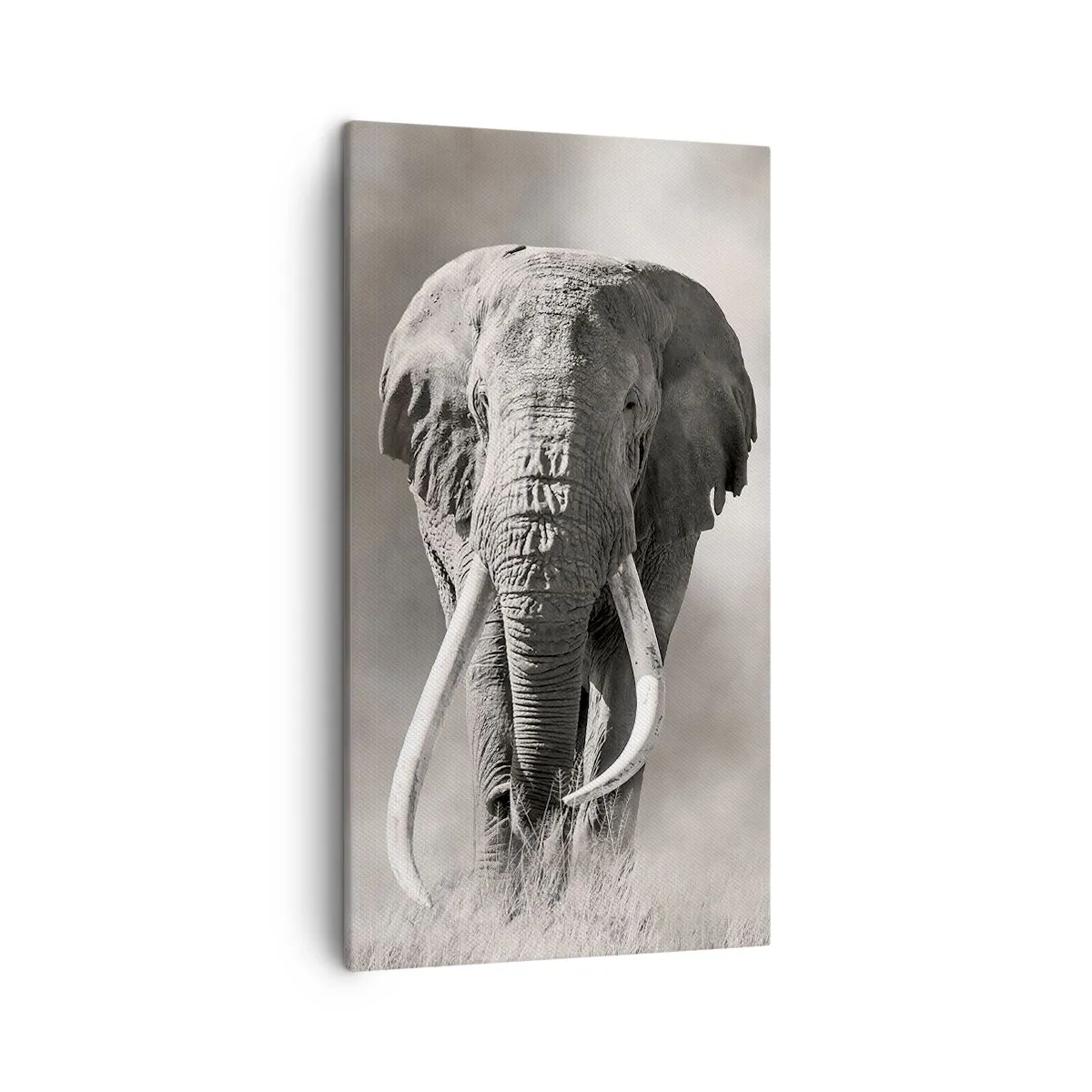 Lærredstryk - Billede på lærred - Afrikansk patriark - 45x80 cm