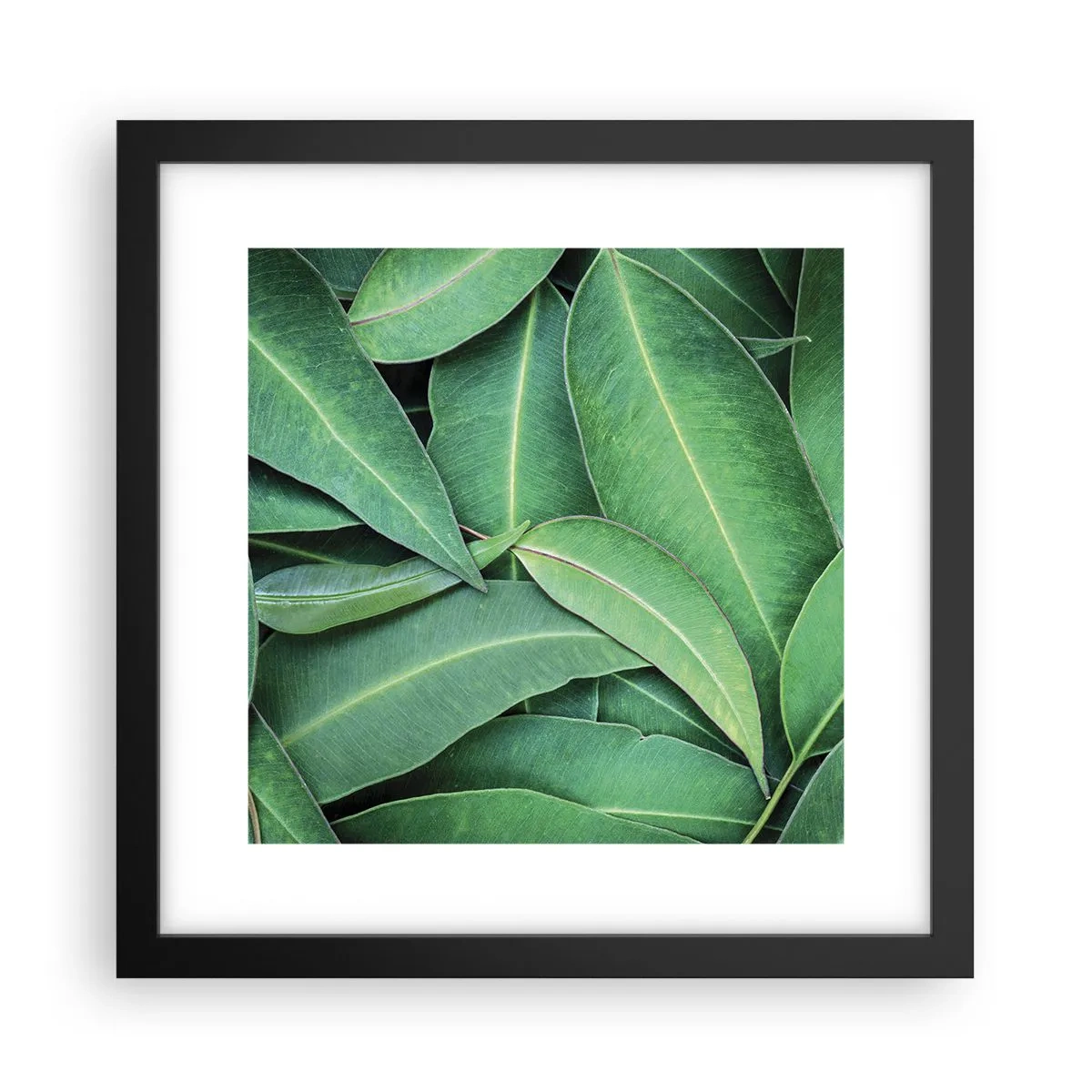 Plakat i sort ramme - Saftig og frisk - 30x30 cm