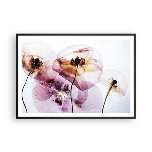Plakat i sort ramme - Blomsterlegeme dias - 100x70 cm