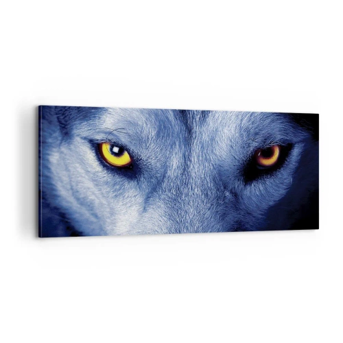 Lærredstryk - Billede på lærred - Et hypnotiserende udseende - 100x40 cm