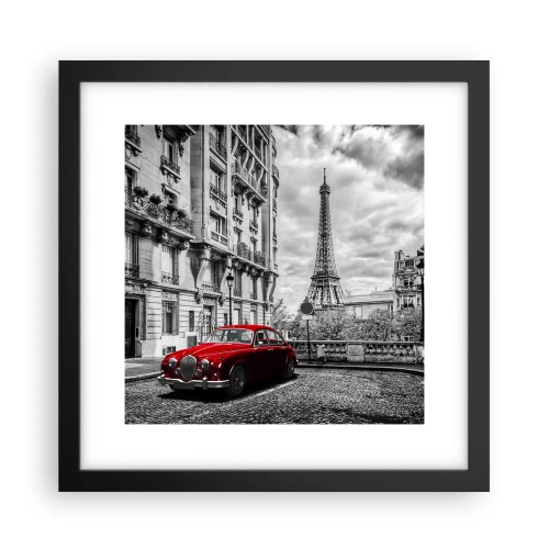 Plakat i sort ramme - Rovdyr i byen - 30x30 cm