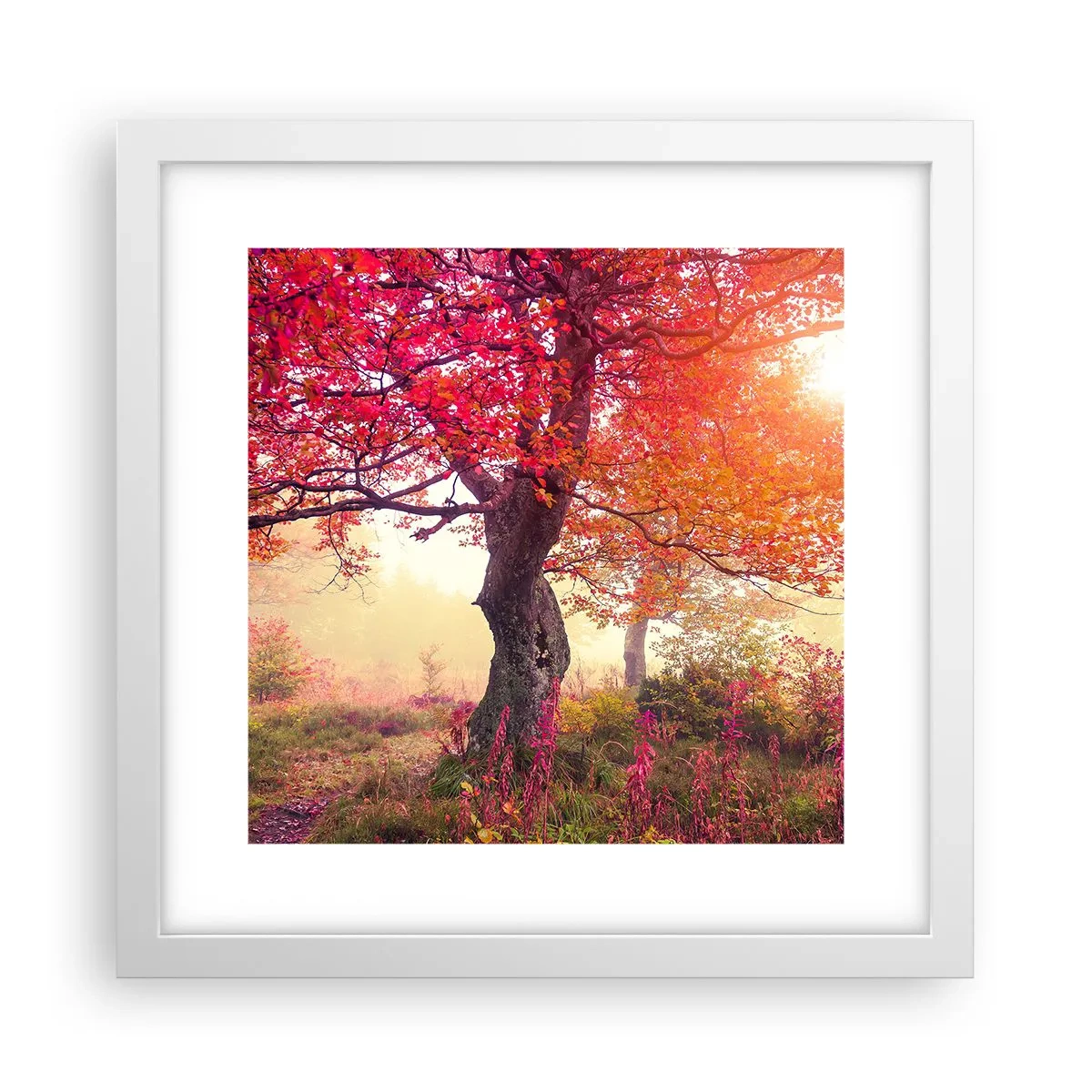 Plakat i hvid ramme - Et væld af blomstring - 30x30 cm