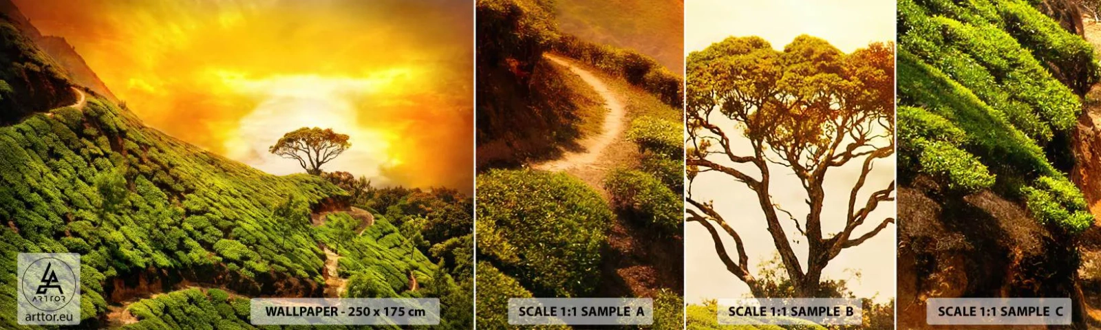 Fototapet Prøve Standard Eco - En snoet sti, en grøn skråning - Landskab, Teplantage, Indien - 100x30 cm