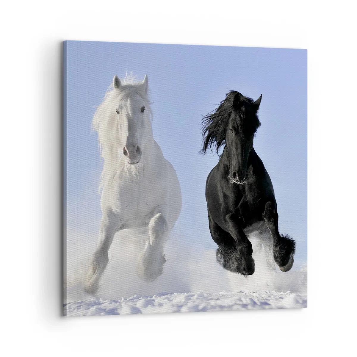 Lærredstryk - Billede på lærred - Sort og hvid galop - 60x60 cm