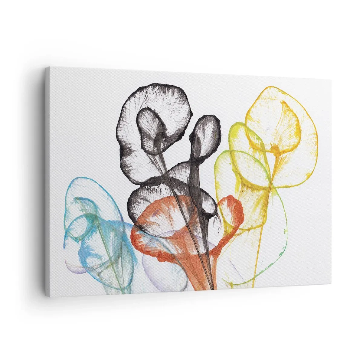 Lærredstryk - Billede på lærred - Farverige gennemsigtige blomster på en hvid baggrund - 70x50cm - Blomster med sjæl - Moderne vægdekoration til stue og soveværelse ARTTOR