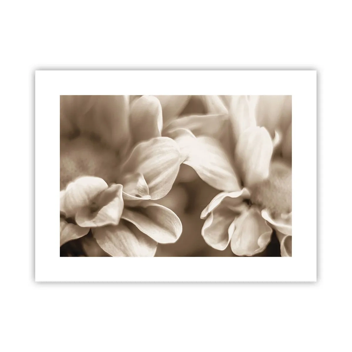 Plakat - Blid som et smil - 40x30 cm