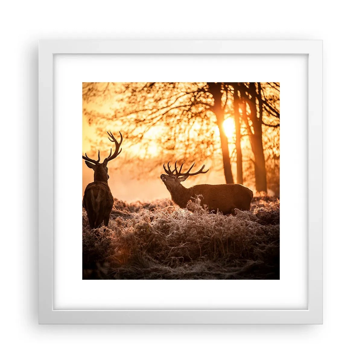 Plakat i hvid ramme - En jægerdrøm - 30x30 cm