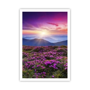 Plakat - Urter duftede friske bundter fra niw - 70x100 cm