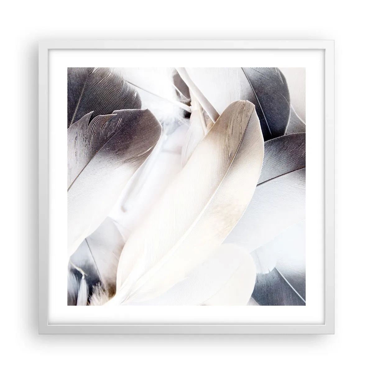 Plakat i hvid ramme - Næsten engleagtig - 50x50 cm