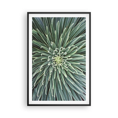 Plakat i sort ramme - En stjernes fødsel - 61x91 cm