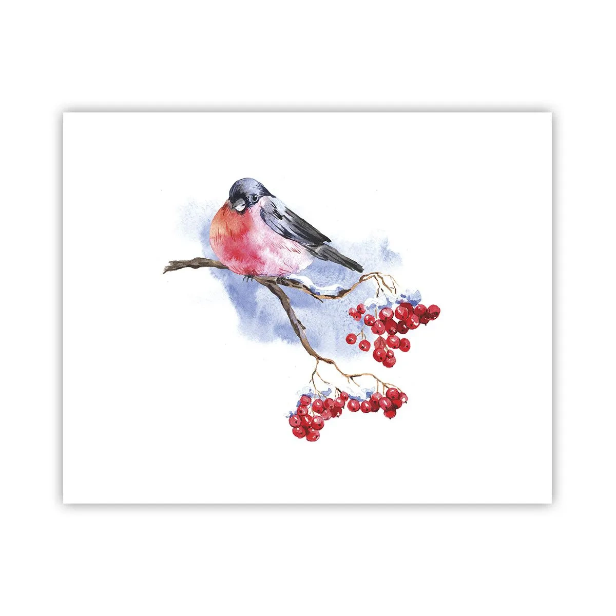 Plakat - Vinter i farver - 50x40 cm