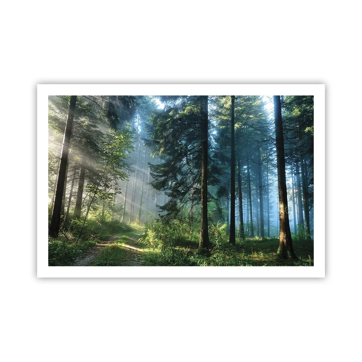 Plakat - Strålende om morgenen - 91x61 cm