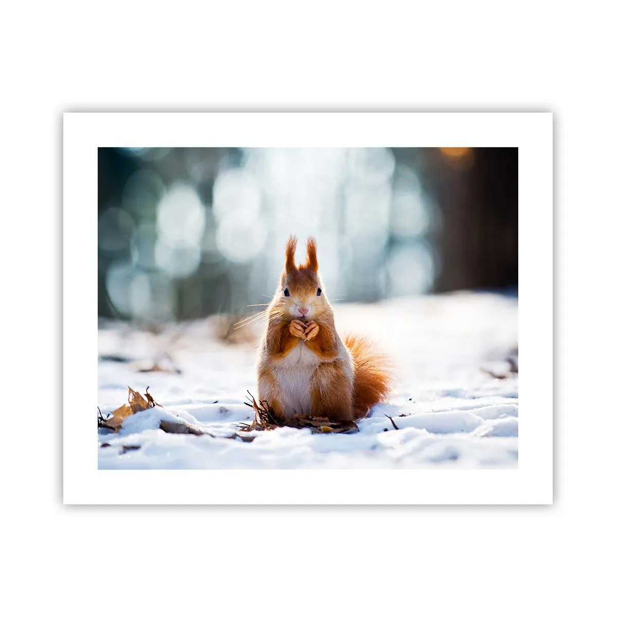 Plakat - Og hvad kigger du på? - 50x40 cm