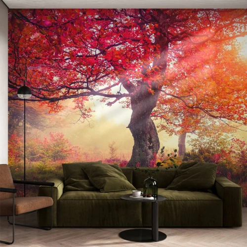 Fototapet Selvklæbende Deluxe Sticker - Et væld af blomstring - Landskab, Parkere, Blomster - 100x70 cm