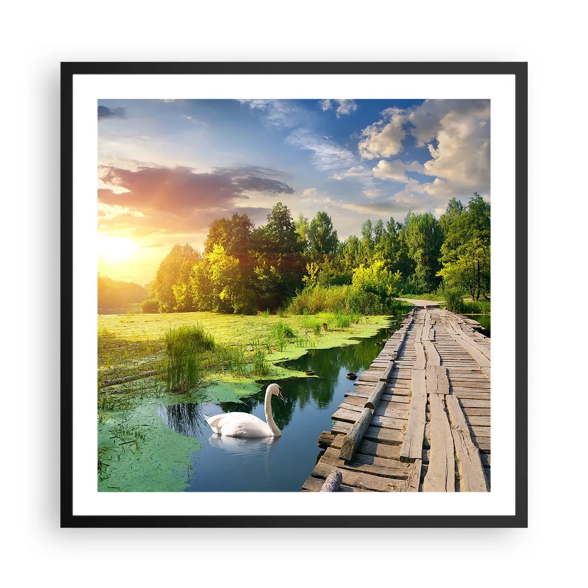 Plakat i sort ramme - Sommer, sommer overalt - 60x60 cm