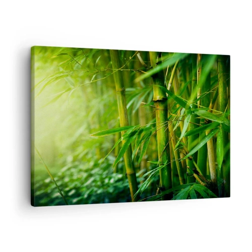 Lærredstryk - Billede på lærred - Grøn bambusskov i blødt lys - 70x50cm - Lær selve det grønne at kende - Moderne vægdekoration til stue og soveværelse ARTTOR