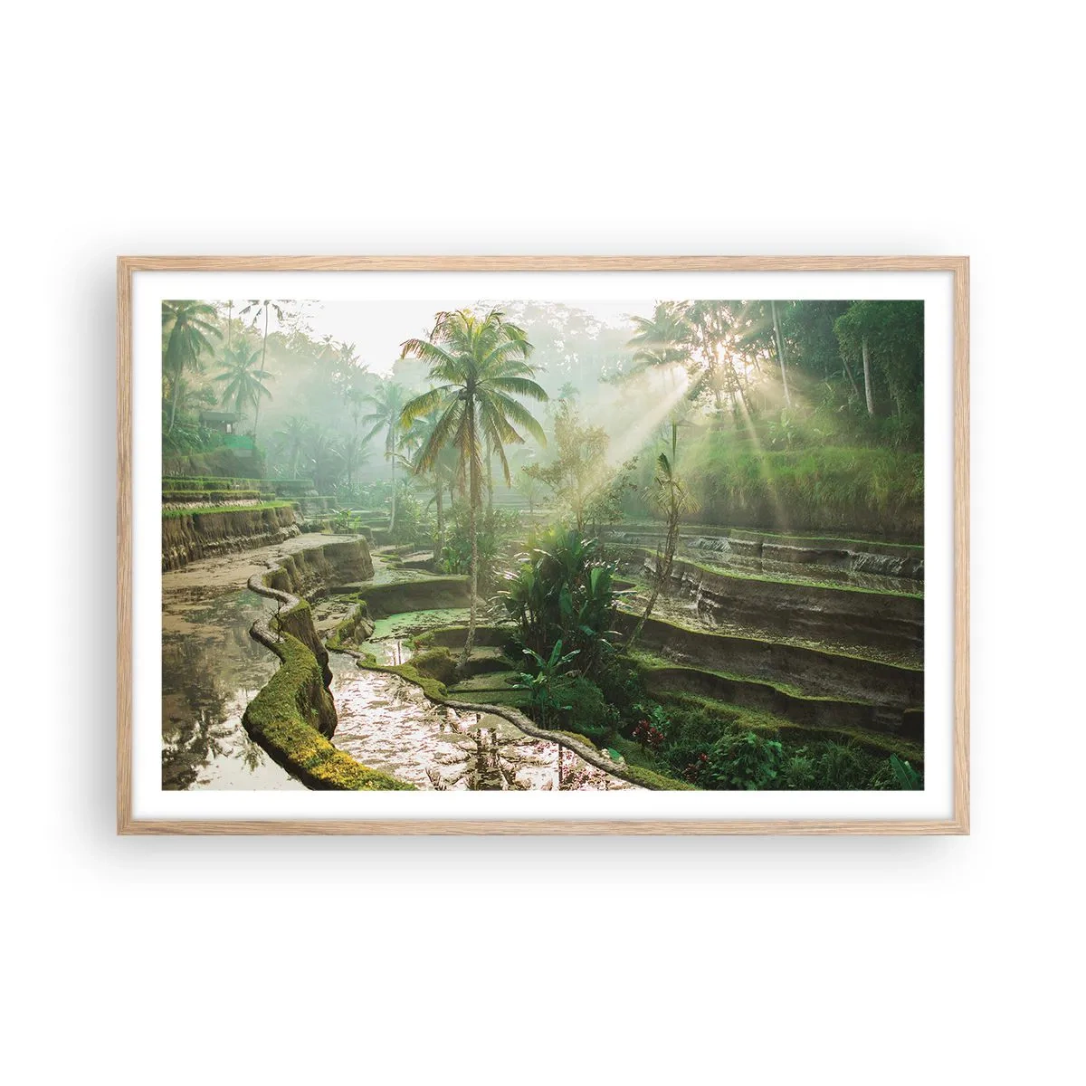 Plakat i ramme af lyst egetræ - Voksende op i solen - 91x61 cm