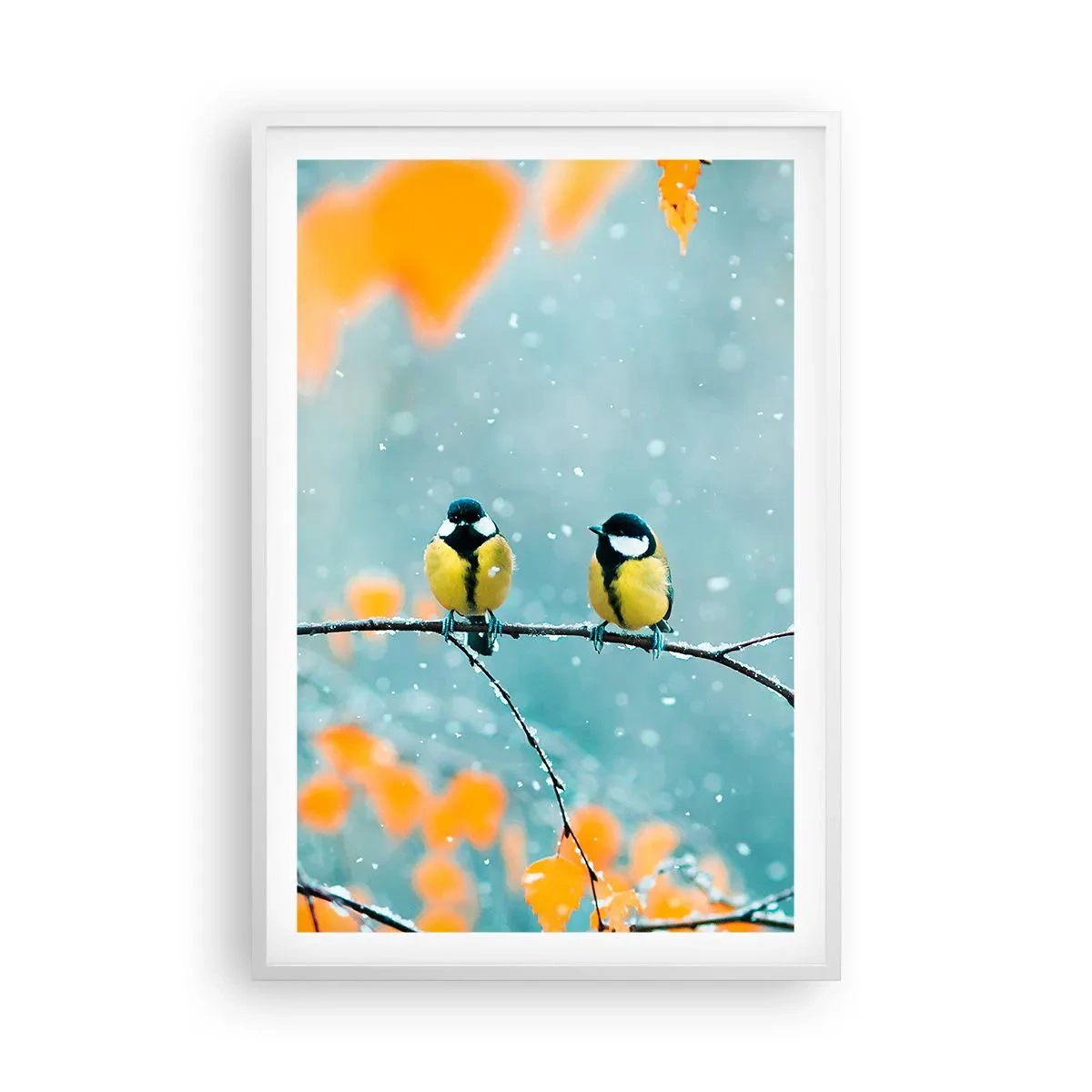 Plakat i hvid ramme - Sladder om fugle - 61x91 cm